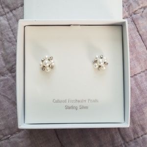 ⭐HP⭐NWT * Cultured * Freshwater * Pearl * Earrings